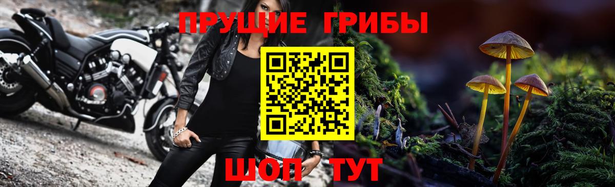 Галлюциногенные грибы GOLDEN TEACHER Якутск